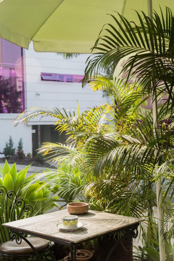 Hostel Spring City Medellín Exteriér fotografie